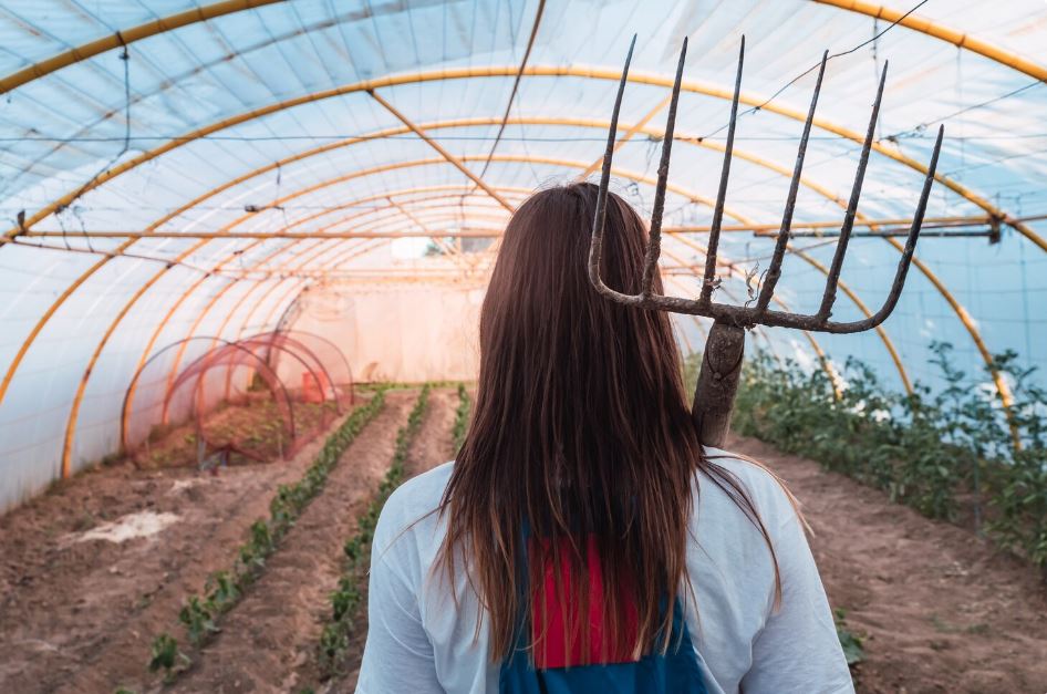 Cómo la innovación agrícola está dando nueva vida a pueblos olvidados